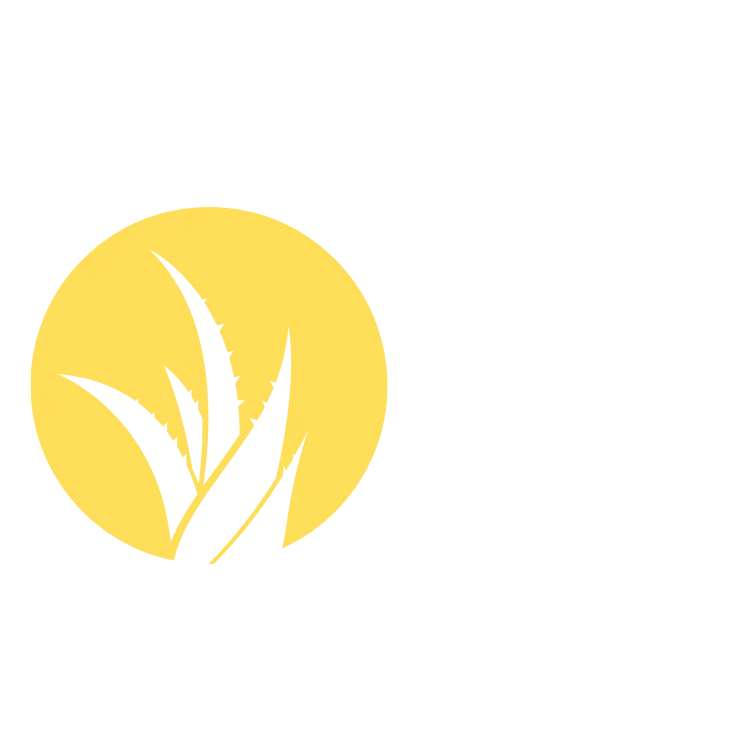 sante finance pour tous